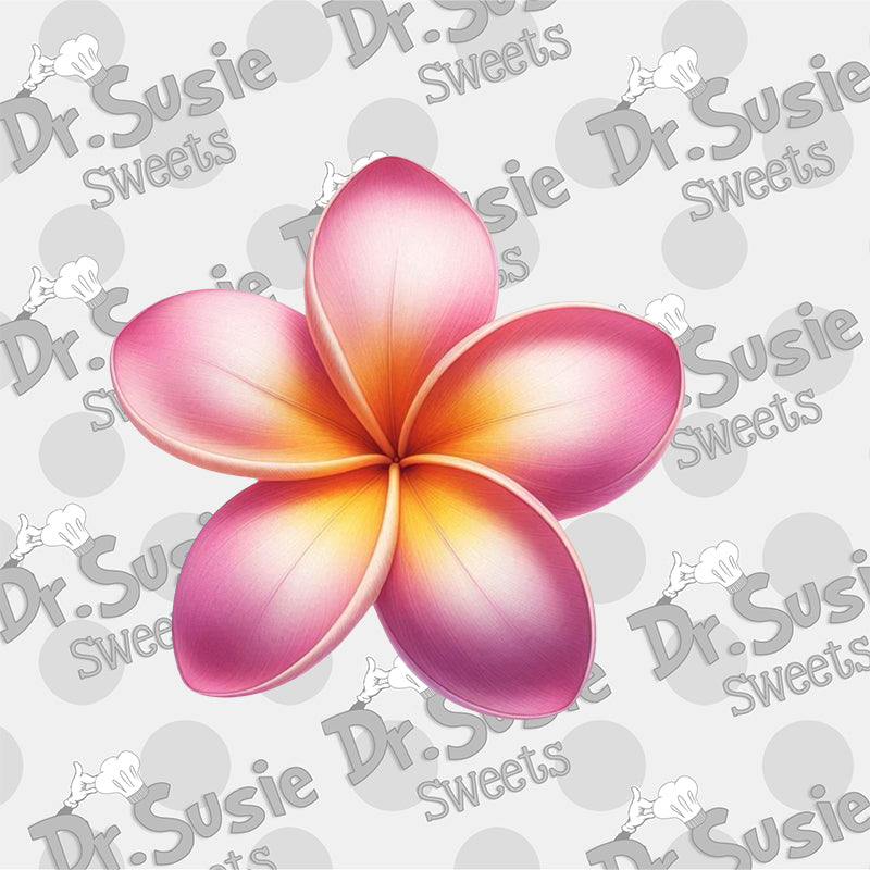 Pink Plumeria-Edible Printer Digital Image