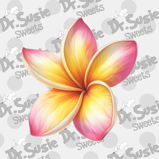 Yellow-Pink Plumeria-Edible Printer Digital Image